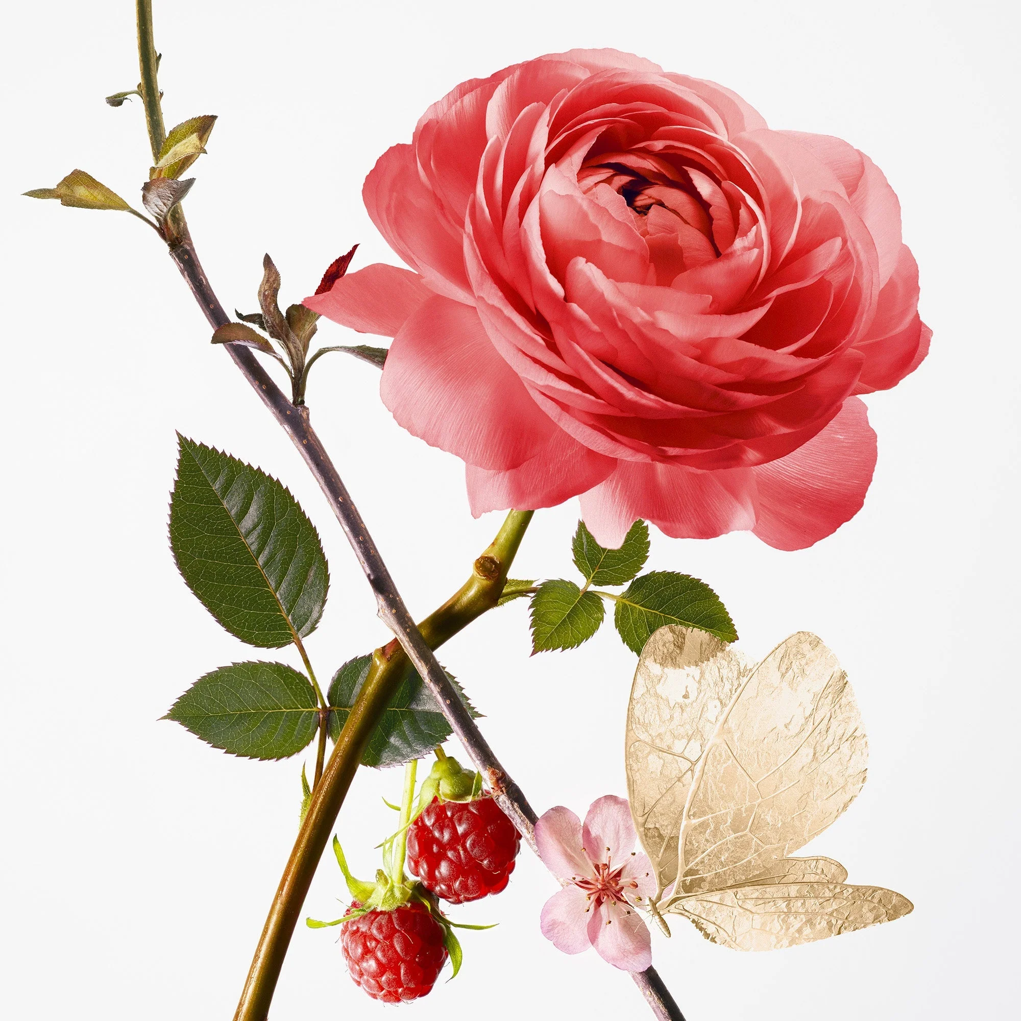 Miniature 2